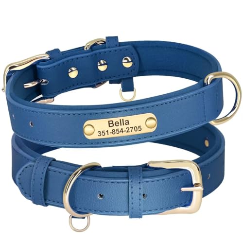 PET ARTIST Personalisiertes Hundehalsband, weiches Neopren, gepolstert, individuelles Leder-Hundehalsband mit Namensschild, verstellbares blaues Hundehalsband für kleine Hunde, Größe S von PET ARTIST