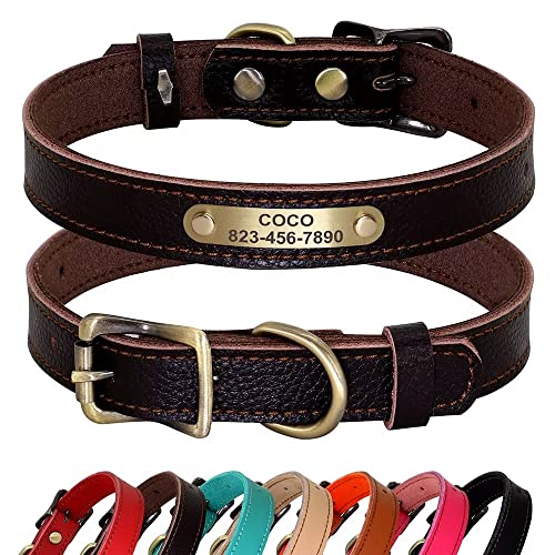 PET ARTIST Personalisiertes Hundehalsband aus echtem Leder, leichtes und weiches Halsband, 7 schöne Farben, langlebiges Hundehalsband für Welpen und kleine Hunde, Braun, M PET ARTIST Personalisiertes Hundehalsband aus echtem Leder, leichtes und weiches Halsband, 7 schöne Farben, langlebiges Hundehalsband für Welpen und kleine Hunde, Braun, M von PET ARTIST