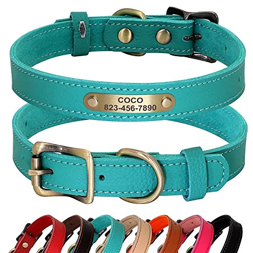 PET ARTIST Personalisiertes Hundehalsband aus echtem Leder, leicht und weich, 7 schöne Farben, langlebiges Hundehalsband für Welpen und kleine Hunde, Grün, Größe M PET ARTIST Personalisiertes Hundehalsband aus echtem Leder, leicht und weich, 7 schöne Farben, langlebiges Hundehalsband für Welpen und kleine Hunde, Grün, Größe M von PET ARTIST