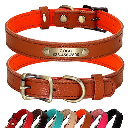 PET ARTIST Personalisiertes Hundehalsband aus echtem Leder, leicht und weich, 7 schöne Farben, langlebiges Hundehalsband für Welpen und kleine Hunde, Orange, Größe S PET ARTIST Personalisiertes Hundehalsband aus echtem Leder, leicht und weich, 7 schöne Farben, langlebiges Hundehalsband für Welpen und kleine Hunde, Orange, Größe S von PET ARTIST