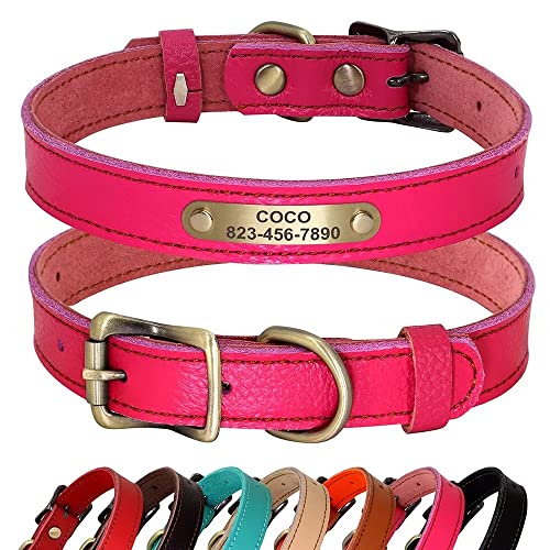 PET ARTIST Personalisiertes Hundehalsband aus echtem Leder, leicht und weich, 7 schöne Farben, langlebiges Hundehalsband für Welpen und kleine Hunde, Rose, Größe M PET ARTIST Personalisiertes Hundehalsband aus echtem Leder, leicht und weich, 7 schöne Farben, langlebiges Hundehalsband für Welpen und kleine Hunde, Rose, Größe M von PET ARTIST