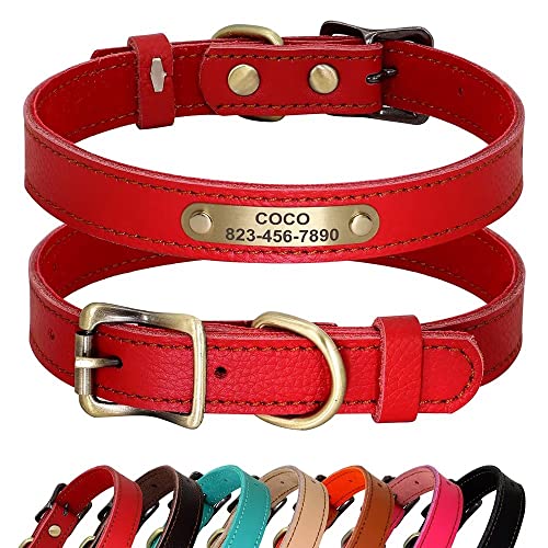 PET ARTIST Personalisiertes Hundehalsband aus echtem Leder, leicht und weich, 7 schöne Farben, langlebiges Hundehalsband für Welpen und kleine Hunde, Rot, Größe S PET ARTIST Personalisiertes Hundehalsband aus echtem Leder, leicht und weich, 7 schöne Farben, langlebiges Hundehalsband für Welpen und kleine Hunde, Rot, Größe S von PET ARTIST