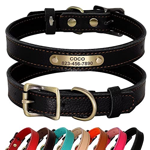 PET ARTIST Personalisiertes Hundehalsband aus echtem Leder, leicht und weich, 7 schöne Farben, langlebiges Hundehalsband für Welpen und kleine Hunde, Schwarz, Größe S PET ARTIST Personalisiertes Hundehalsband aus echtem Leder, leicht und weich, 7 schöne Farben, langlebiges Hundehalsband für Welpen und kleine Hunde, Schwarz, Größe S von PET ARTIST