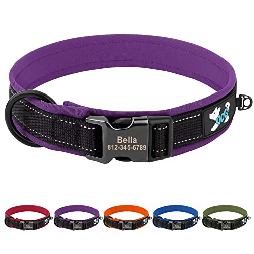 PET ARTIST Personalisiertes Maßgeschneidertes Gepolstertes Nylon-Hundehalsband für Kleine, Mittelgroße und Große Hunde, Verstellbare Metallschnalle, Haustierhalsband mit Reflektierenden (XL, lila) PET ARTIST Personalisiertes Maßgeschneidertes Gepolstertes Nylon-Hundehalsband für Kleine, Mittelgroße und Große Hunde, Verstellbare Metallschnalle, Haustierhalsband mit Reflektierenden (XL, lila) von PET ARTIST