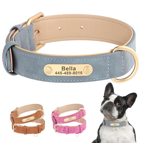 PET ARTIST Personalized Leather Dog Collar with Name Plate，Soft Padded Custom Dog Collars for Small Medium Large Dog，Blue,S von PET ARTIST