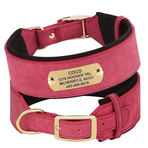 PET ARTIST gepolstertes Leder Hundehalsband mit Namensschild für mittlere große Hunde und rotes Hundehalsband personalisiert mit Name, Telefon und Adresse von PET ARTIST