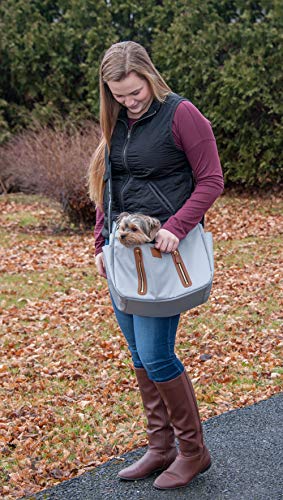 Pet Gear Tragetasche/Tragetuch für Katzen/Hunde, Aufbewahrungstasche, abnehmbares, waschbares Futter, Reißverschluss Oben und Netzfenster, Hellgrau Pet Gear Tragetasche/Tragetuch für Katzen/Hunde, Aufbewahrungstasche, abnehmbares, waschbares Futter, Reißverschluss Oben und Netzfenster, Hellgrau von PET GEAR INC