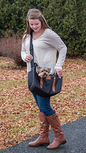 Pet Gear Tragetasche für Katzen/Hunde, Aufbewahrungstasche, abnehmbares, waschbares Futter, Reißverschluss Oben und Netzfenster, Onyx Pet Gear Tragetasche für Katzen/Hunde, Aufbewahrungstasche, abnehmbares, waschbares Futter, Reißverschluss Oben und Netzfenster, Onyx von PET GEAR INC