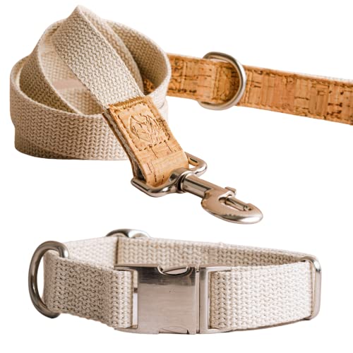 Set bestehend aus nachhaltigem Hundehalsband und nachhaltiger Leine – 100% natürliche Produkte aus reinem Hanf für kleine Hunde, bequem, strapazierfähig (klein) von PET IMPACT