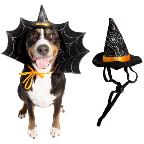 Haustier Krewe Halloween Hexenhut und Halsband Hundekostüm passend für kleine, mittlere, Fotoshootings, Geschenke für Hundeliebhaber (groß) von PET KREWE UNLEASH THE PARADE