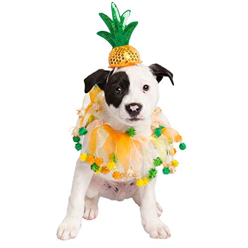 Pet Krewe Ananasmütze und Halsband für Hunde, Größe S, M, L oder XL, perfekt für Halloween, Partys, Fotoshootings, Geschenke für Hundeliebhaber (L) von PET KREWE UNLEASH THE PARADE