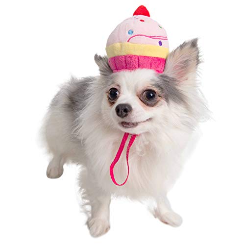 Pet Krewe Cupcake-Hut – Hunde-Cupcake-Kostüm – Einheitsgröße – perfekt für Halloween, Partys, Fotoshootings, Geschenke für Hundeliebhaber (regulär) von PET KREWE UNLEASH THE PARADE