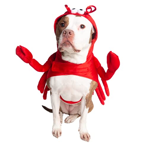 Pet Krewe Hunde-Hummer-Kostüm | Extra großes Fisch-Haustier-Kostüm für Hunde 1. Geburtstag, National-Katzentag & Feiern | Halloween-Outfit für kleine, mittlere, große & XL Katzen & Hunde von PET KREWE UNLEASH THE PARADE