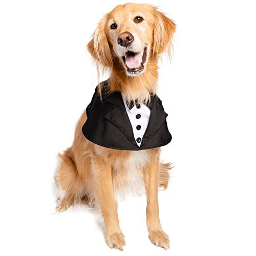 Pet Krewe Hunde-Smokinganzug und Fliege, stilvolles Hochzeits-Tux-Party-Outfit für kleine, große Hunde und Katzen von PET KREWE UNLEASH THE PARADE