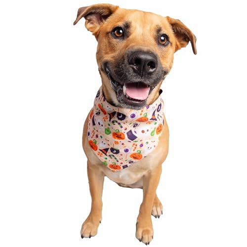 Pet Krewe Hundehalstuch, leuchtet im Dunkeln, wendbar, Halloween-Zubehör für Hunde, verstellbares Haustier-Schal, zwei Designs in einem, lustig und festlich Pet Krewe Hundehalstuch, leuchtet im Dunkeln, wendbar, Halloween-Zubehör für Hunde, verstellbares Haustier-Schal, zwei Designs in einem, lustig und festlich von PET KREWE UNLEASH THE PARADE