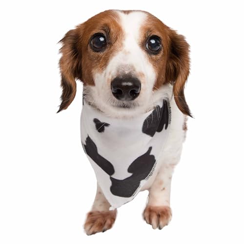 Pet Krewe Hundehalstuch mit Kuhmuster, Western-Stil Pet Krewe Hundehalstuch mit Kuhmuster, Western-Stil von PET KREWE UNLEASH THE PARADE