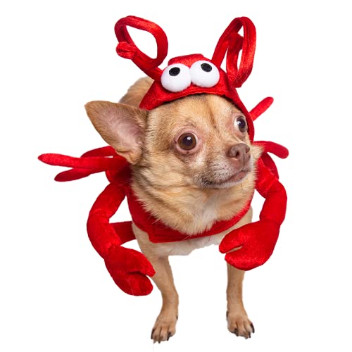 Pet Krewe Hundekostüm für Hunde | Halloween-Outfit für kleine, mittelgroße, große und XL Katzen und Hunde von PET KREWE UNLEASH THE PARADE
