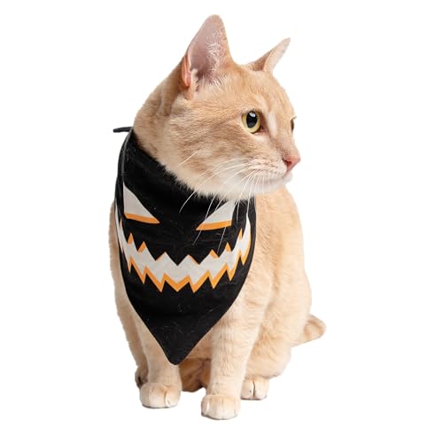 Pet Krewe Jack-O'-Lantern Hunde- und Katzenhalstuch, leuchtet im Dunkeln, Halloween-Kürbis-Gesichtskostüm für Haustiere, leicht, zum Binden Pet Krewe Jack-O'-Lantern Hunde- und Katzenhalstuch, leuchtet im Dunkeln, Halloween-Kürbis-Gesichtskostüm für Haustiere, leicht, zum Binden von PET KREWE UNLEASH THE PARADE