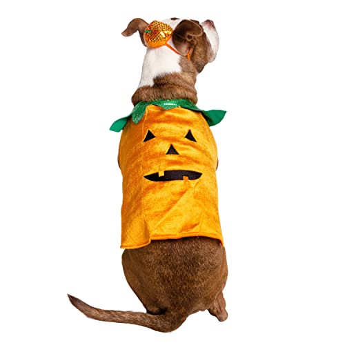 Pet Krewe Pumpkin Dog Costume, Large von PET KREWE UNLEASH THE PARADE