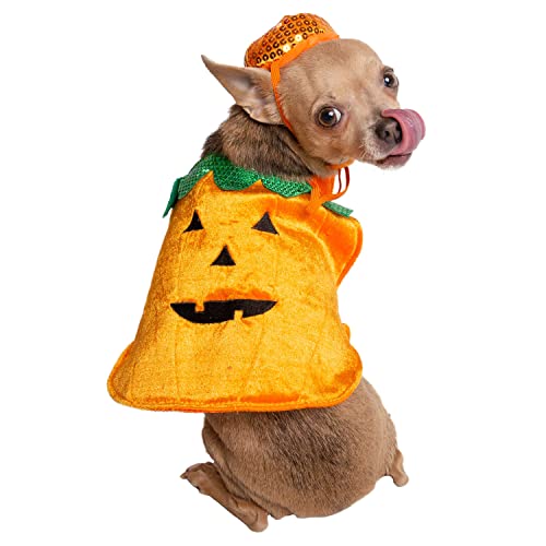 Pet Krewe Pumpkin Dog Costume, Small von PET KREWE UNLEASH THE PARADE