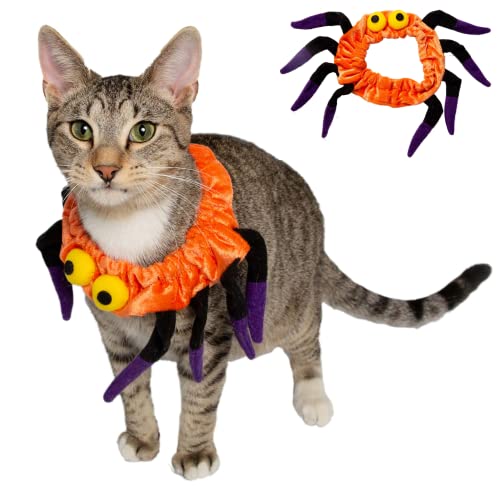 Pet Krewe Spinnen-Katzenhalsband-Kostüm, passend für Einheitsgröße, für kleine, Fotoshootings, Geschenke für Katzenliebhaber (Einheitsgröße) von PET KREWE UNLEASH THE PARADE