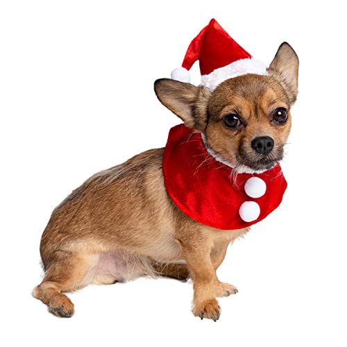 Pet Krewe Weihnachtsmann-Kostüm für Hunde, kleine Mütze und Halsbänder, ideal für Halloween, Partys, Fotoshootings, Geschenke für Hundeliebhaber von PET KREWE UNLEASH THE PARADE