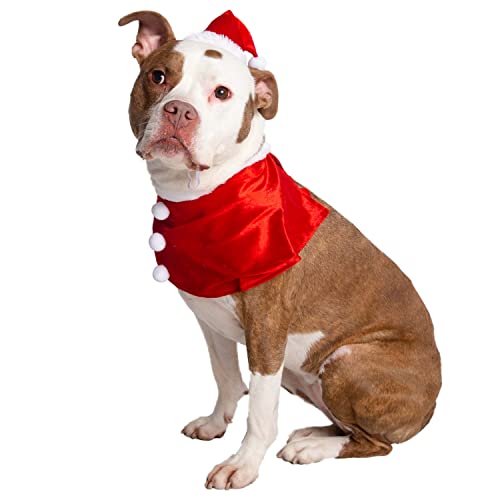 Pet Krewe Weihnachtsmannkostüm für Hunde – großer Hut und Halsband-Set für Weihnachtsfeiertagsspaß! – perfekt für Halloween, Partys, Fotoshootings, Geschenke für Hundeliebhaber von PET KREWE UNLEASH THE PARADE