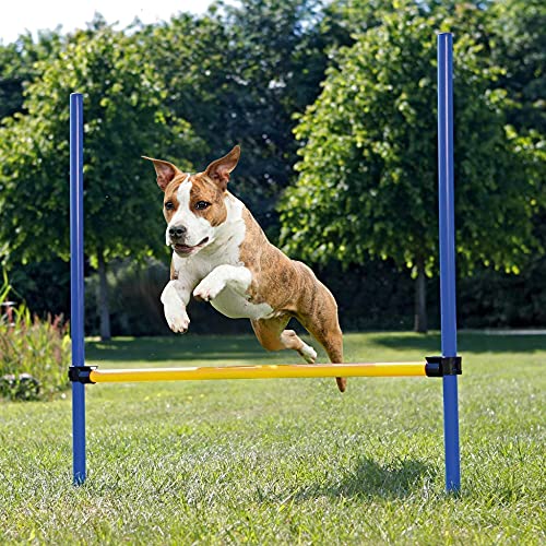 Pet Prime Hundetraining für Outdoor-Spiele, Agility-Training, Hürdenstange, Gehorsams-Show für Hunde von Pet Prime