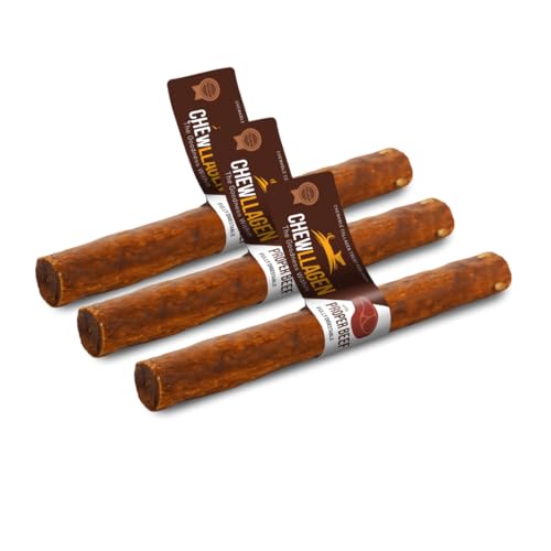 CHEWLLAGEN - Collagen Hund kauen behandelt - Rindfleisch Rolle 10" (Packung mit 3) - Joint Support & Muscle Recovery Collagen von PET'S UP