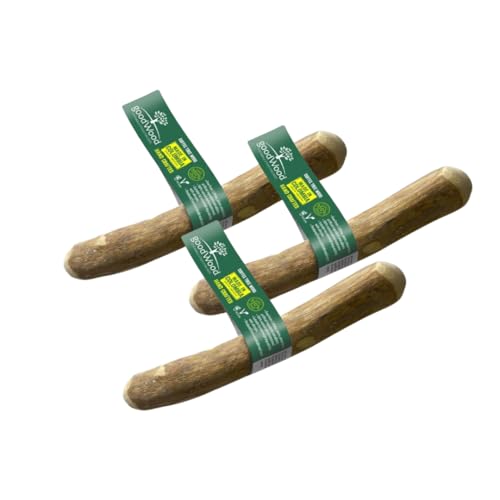 GOODWOOD - Kauknochen XS (3er Set) - Kaffeeholz - für sehr kleine Hunde - natürliche Zahnpflege, verhindert Zahnstein & Zahnfleischerkrankungen - 100% natürlich & koffeinfrei - vegan von PET'S UP