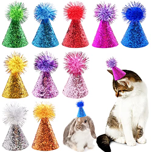 PET SHOW 10 x kleine Hundehüte, Katzen, Geburtstagsparty-Hut, Kaninchen-Hüte für Urlaub, Hochzeit, Welpen, Kätzchen, Kostümzubehör von PET SHOW