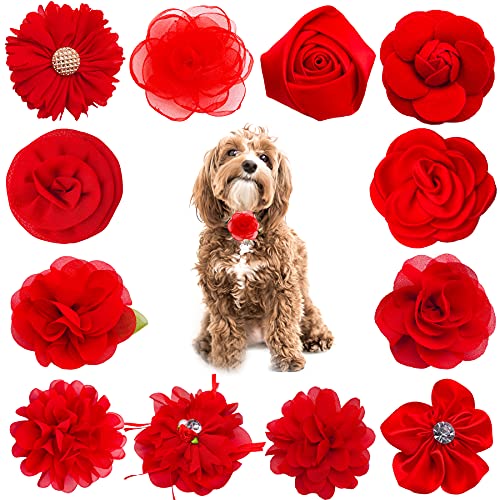 PET SHOW 12 rote Hundehalsbänder mit Schleifen und Blumen für Mädchen, Welpen, Katzen, weibliche kleine und mittelgroße Hunde, Halsbänder, Verzierung, Haustier-Halsband, Zubehör von PET SHOW