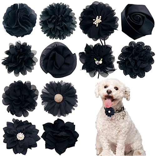 PET SHOW 12 schwarze Hundehalsbänder mit Schleifen und Blumen für Mädchen, Jungen, Welpen, Katzen, kleine, mittelgroße Hunde, Halsbänder, Verzierung, Dekoration für Hochzeit, Partys, Pflegezubehör von PET SHOW