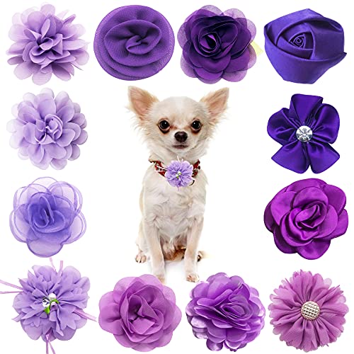 PET SHOW 12 x violette Hundehalsbänder mit Schleifen und Blumen für Mädchen, Welpen, Katzen, weibliche kleine und mittelgroße Hunde, Halsbänder, Verzierung, Haustier-Halsband, Zubehör von PET SHOW
