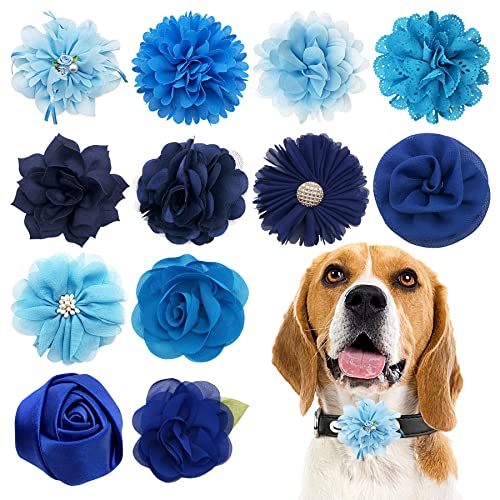 PET SHOW 12xblaue Hundehalsbänder, Schleifen und Blumen, Befestigung für Mädchen, Jungen, Welpen, Katzen, kleine, mittelgroße Hundehalsbänder, Verzierung, Partys, Fellpflegezubehör PET SHOW 12xblaue Hundehalsbänder, Schleifen und Blumen, Befestigung für Mädchen, Jungen, Welpen, Katzen, kleine, mittelgroße Hundehalsbänder, Verzierung, Partys, Fellpflegezubehör von PET SHOW