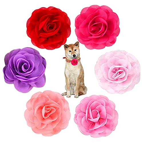 PET SHOW 6 x Hundehalsbänder mit Schleifen und Blumen für Mädchen, kleine, mittelgroße Hunde, Welpen, rosa und rot, weibliches Halsband, Verzierung für Hochzeit, Geburtstag, Party von PET SHOW