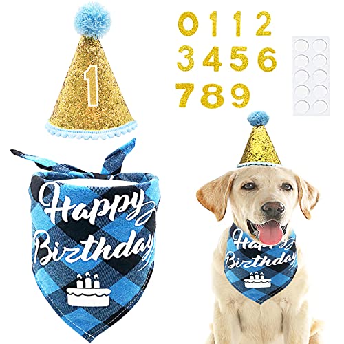 PET SHOW Blauer Kegelhut und Bandana Set Geburtstag Party Supplies für Jungen Männer Kleine Mittlere Große Hunde Katzen Geburtstagshut 0-9 Zahlen von PET SHOW