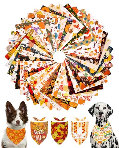 PET SHOW Halstücher für große Hunde, waschbar, Dreieck-Lätzchen für mittelgroße und große Hunde, Mädchen, Jungen, Herbst-Kürbis-Halstuch, Haustier-Schals, Urlaubspflege-Zubehör, 50 Stück PET SHOW Halstücher für große Hunde, waschbar, Dreieck-Lätzchen für mittelgroße und große Hunde, Mädchen, Jungen, Herbst-Kürbis-Halstuch, Haustier-Schals, Urlaubspflege-Zubehör, 50 Stück von PET SHOW
