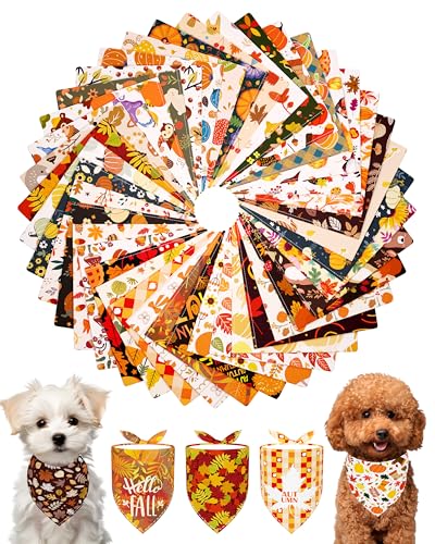 PET SHOW Halstücher für kleine Hunde, waschbar, für Welpen, Mädchen, Jungen, Dreieck-Lätzchen, Herbst, Kürbis, Halstuch, Katzenschal, Haustierpflege-Zubehör, 50 Stück von PET SHOW