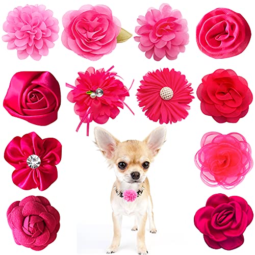 PET SHOW Hundehalsband, Schleifen und Blumen, Aufsatz für Mädchen, Welpen, Katzen, kleine und mittelgroße Hunde, Verzierung, Dekoration für Hochzeit, Geburtstag, Partys, Fellpflege, Haustierhalsband, PET SHOW Hundehalsband, Schleifen und Blumen, Aufsatz für Mädchen, Welpen, Katzen, kleine und mittelgroße Hunde, Verzierung, Dekoration für Hochzeit, Geburtstag, Partys, Fellpflege, Haustierhalsband, von PET SHOW