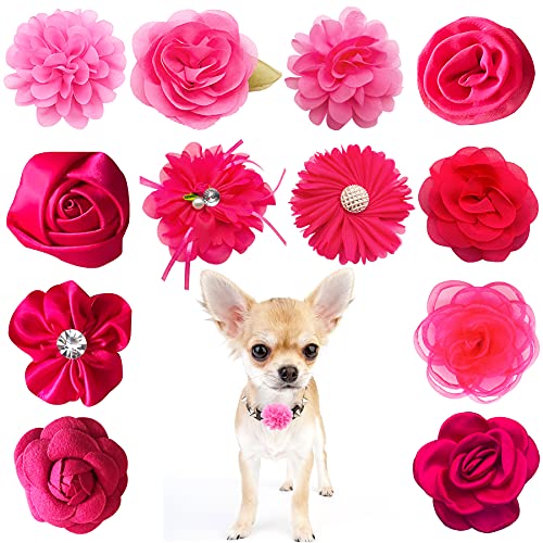 PET SHOW Hundehalsband, Schleifen und Blumen, für Mädchen, Welpen, Katzen, weibliche kleine und mittelgroße Hunde, 12 Stück, Rosa von PET SHOW