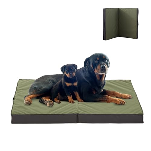 PETABBY Beruhigendes Hundebett für kleine mittelgroße Hunde, Anti-Angst-Hundebett Donut Cuddler, Flauschiges rundes bequemes Katzenbett waschbar, superweiches gemütliches Haustierbett für Welpen (L) PETABBY Beruhigendes Hundebett für kleine mittelgroße Hunde, Anti-Angst-Hundebett Donut Cuddler, Flauschiges rundes bequemes Katzenbett waschbar, superweiches gemütliches Haustierbett für Welpen (L) von PETABBY