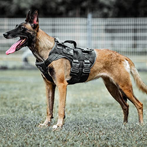 PETAC GEAR Taktisches Hundegeschirr K9 Hundetrainingsweste, verstellbar, gepolstert, Polizeidienst, Hundearbeit, MOLLE-Westen für große, mittelgroße Hunde, Mals GSD Lab… … PETAC GEAR Taktisches Hundegeschirr K9 Hundetrainingsweste, verstellbar, gepolstert, Polizeidienst, Hundearbeit, MOLLE-Westen für große, mittelgroße Hunde, Mals GSD Lab… … von PETAC GEAR