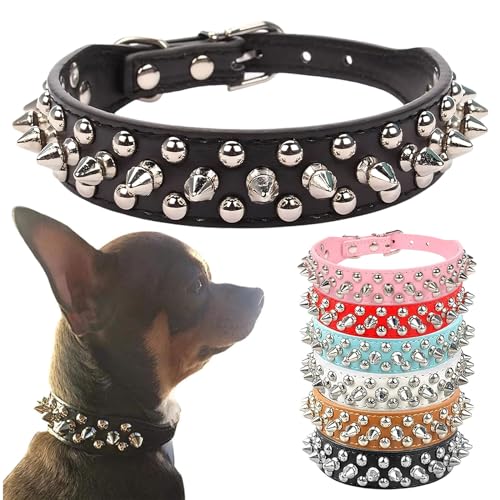 PETCARE Hundehalsband mit Spikes, schwarzes weiches PU-Leder, lustige Pilze, Nieten, Nieten, Welpen, Halsband, verstellbar, für kleine mittelgroße und große Hunde, Katzen, Chihuahua, Mops, Pit Bull PETCARE Hundehalsband mit Spikes, schwarzes weiches PU-Leder, lustige Pilze, Nieten, Nieten, Welpen, Halsband, verstellbar, für kleine mittelgroße und große Hunde, Katzen, Chihuahua, Mops, Pit Bull von PETCARE