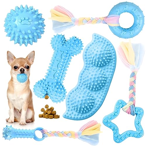 Petcare 6 Stück Welpen-Kauspielzeug zum Zahnen, niedliches blaues Welpenspielzeug für kleine Hunde, weiches Gummiseil, Hundespielzeug, lustige Knochenballreinigung, Zähne, Kauspielzeug, Welpen, von PETCARE