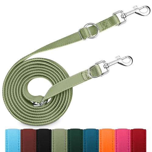 PETCOOZ Hundeleine 3 m Verstellbare Schleppleine mit 2 Karabiner, Verdickte Doppelleine Führleine für Kleine Mittelgroße Hunde, Freihandleinen Übungsleine aus Nylon, Grasgrün von PETCOOZ