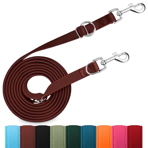 PETCOOZ Hundeleine 3 m Verstellbare Schleppleine mit 2 Karabiner, Verdickte Doppelleine Führleine für Kleine Mittelgroße Hunde, Freihandleinen Übungsleine aus Nylon, Braun von PETCOOZ