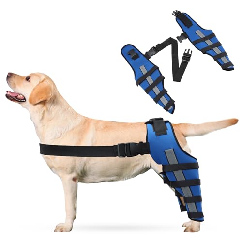 PETCUTE 2 Stück Kniebandage Hund mit Reflexstreifen – Verstellbare Beinstütze bei ACL- & Bandverletzungen, Starke Stabilisierung & Hinterbein-Schutz für schnelle Genesung-XS(Blau) von PETCUTE