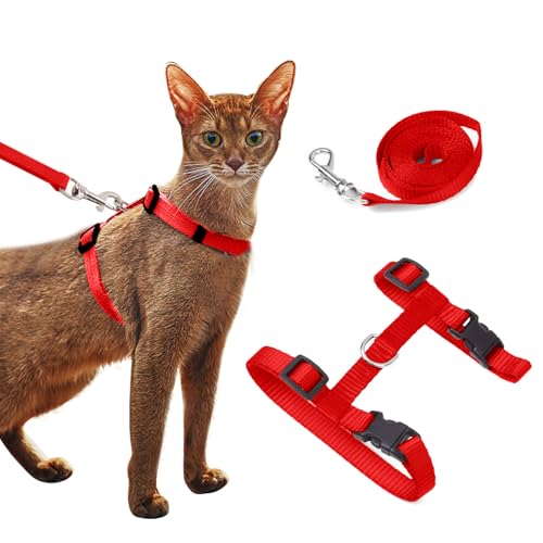 PETCUTE 2 Stücke katzengeschirr mit Leine ausbruchsicher Katzengeschirr und Leine Einstellbarer PETCUTE 2 Stücke katzengeschirr mit Leine ausbruchsicher Katzengeschirr und Leine Einstellbarer von PETCUTE