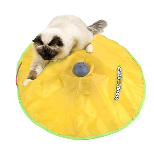 PETCUTE Elektrisches Katzenspielzeug Interaktives Maus Katzenspielzeug Katzen Automatisches Mäusespielzeug Lustiges Katze Spielzeug Interaktives Katzenspielzeug Interaktives Spiel für Kätzchen PETCUTE Elektrisches Katzenspielzeug Interaktives Maus Katzenspielzeug Katzen Automatisches Mäusespielzeug Lustiges Katze Spielzeug Interaktives Katzenspielzeug Interaktives Spiel für Kätzchen von PETCUTE